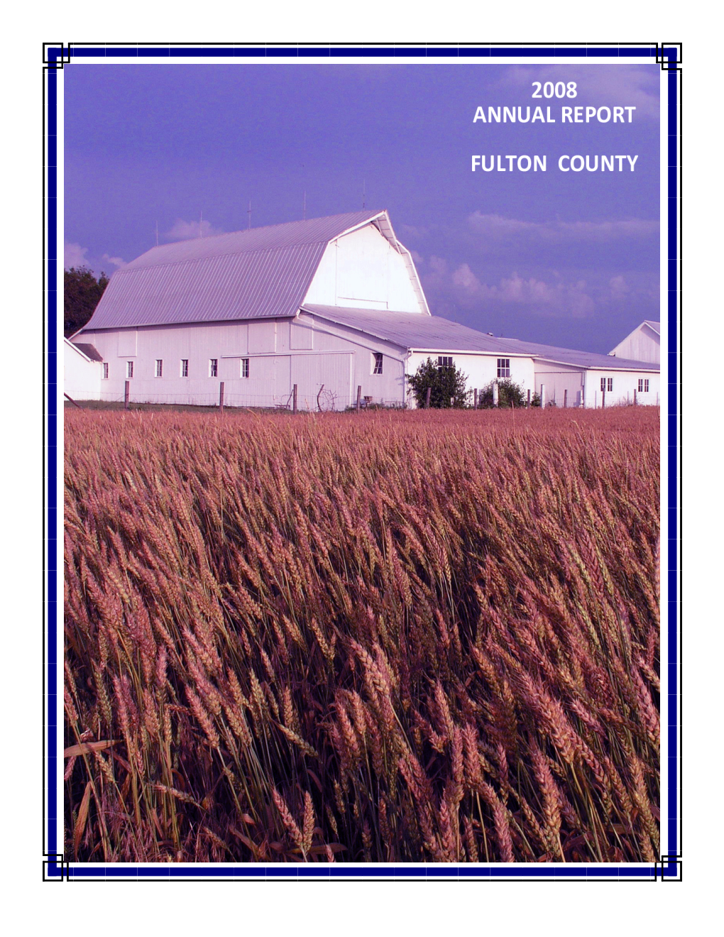 2008 Fulton County Annual Report