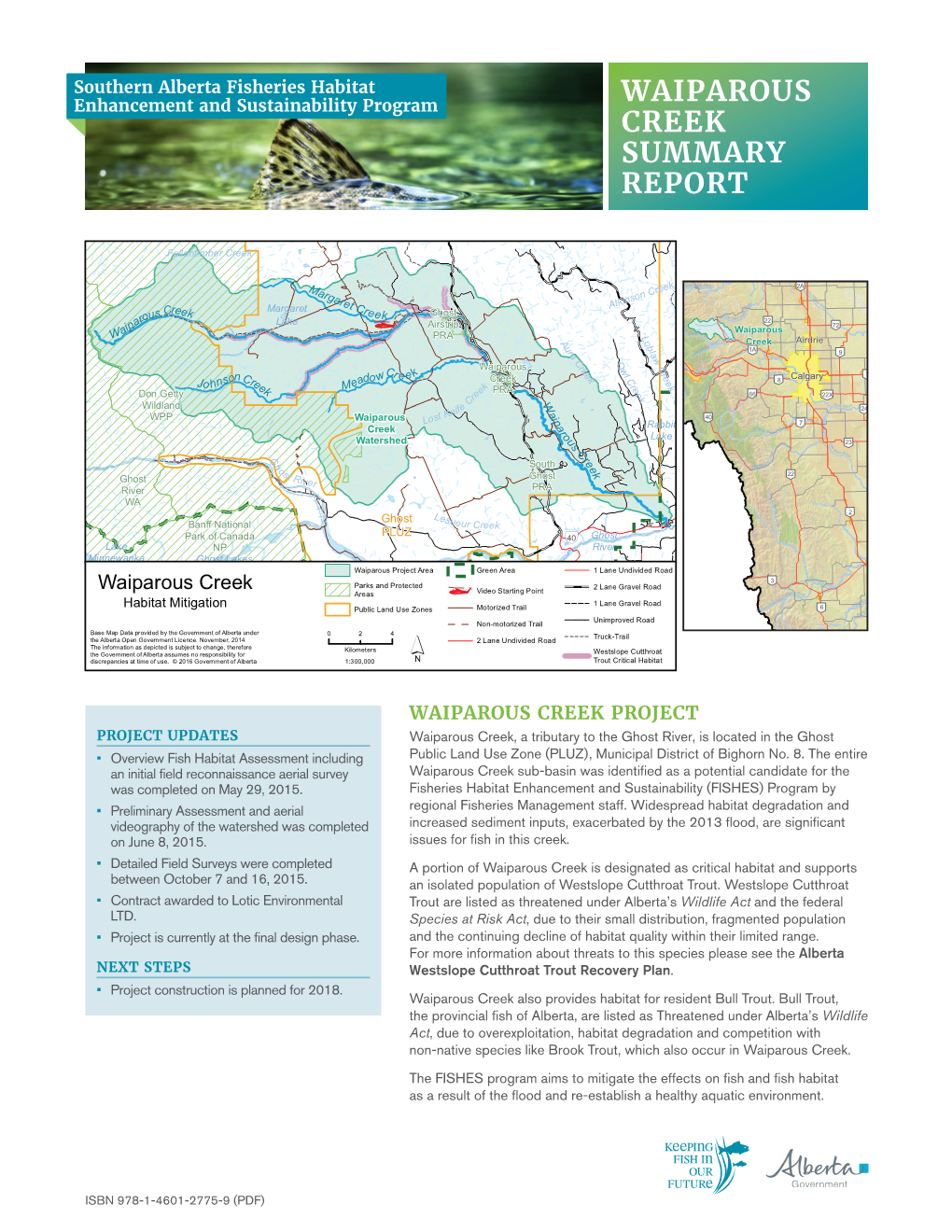 Waiparous Creek Summary Report