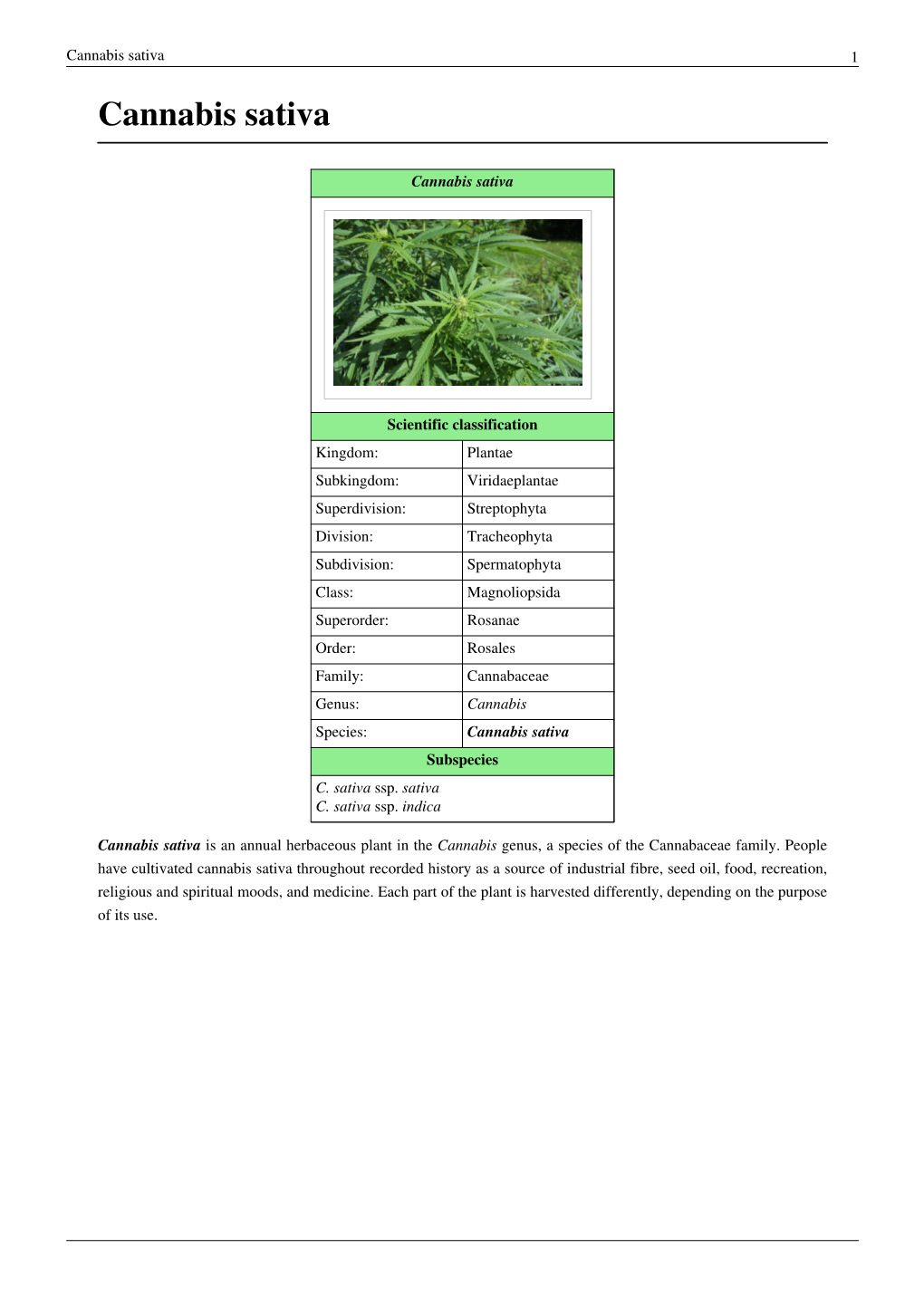 Cannabis Sativa 1 Cannabis Sativa