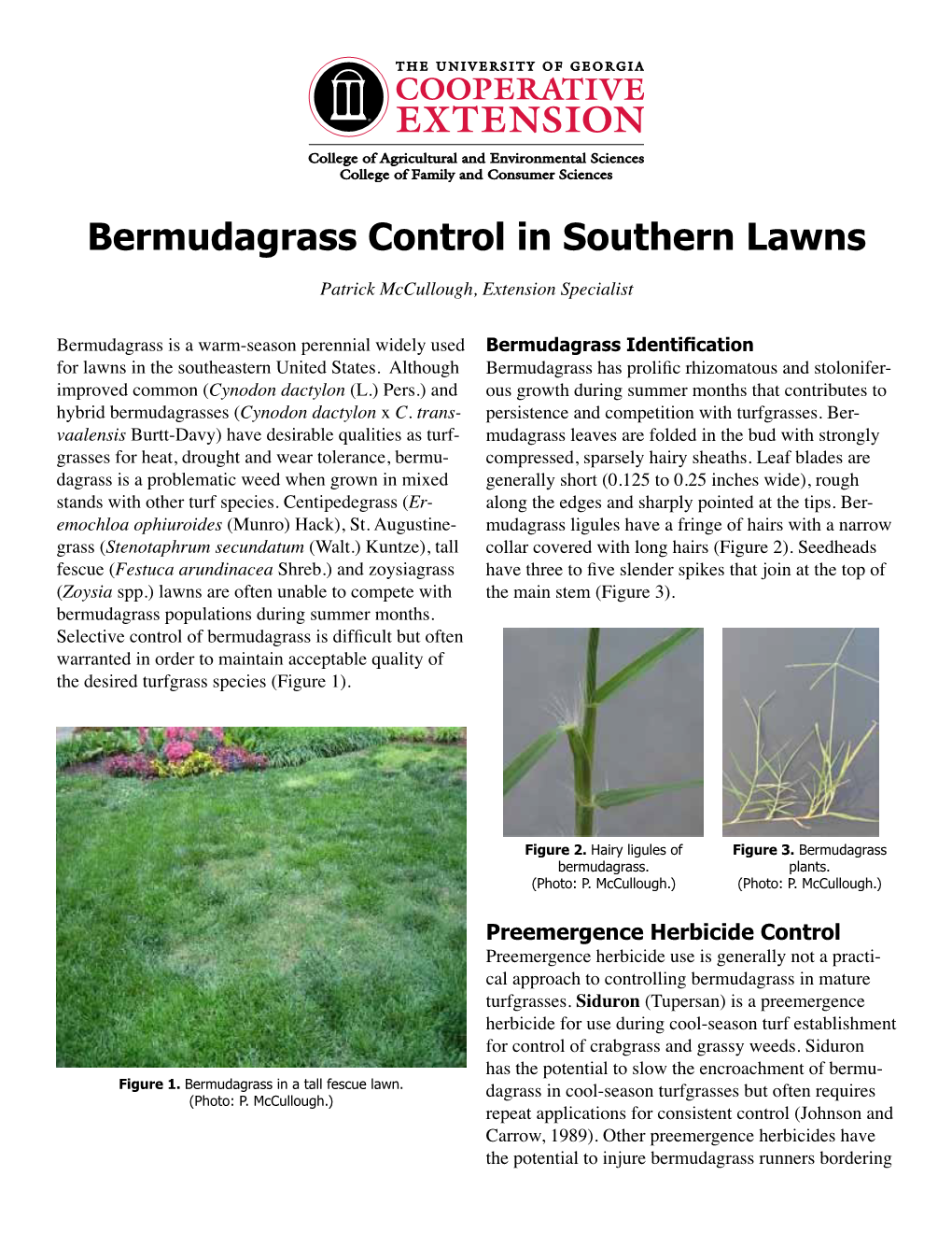 Bermudagrass Control in Southern Lawns