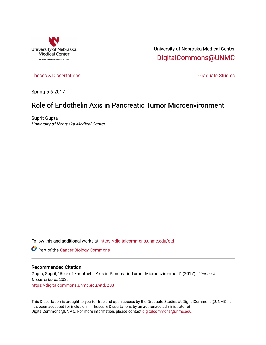 Role of Endothelin Axis in Pancreatic Tumor Microenvironment