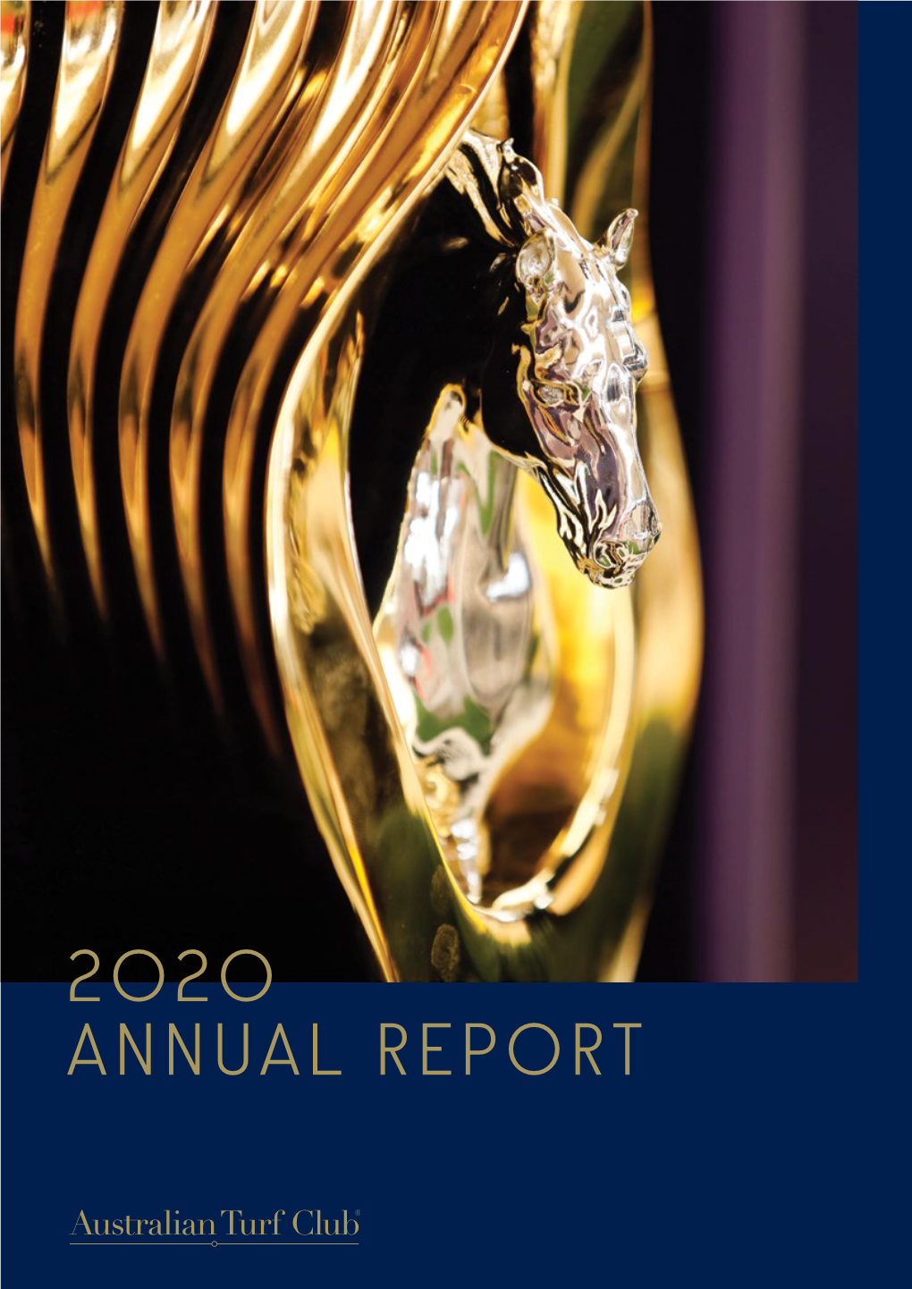 2020 Annual Report