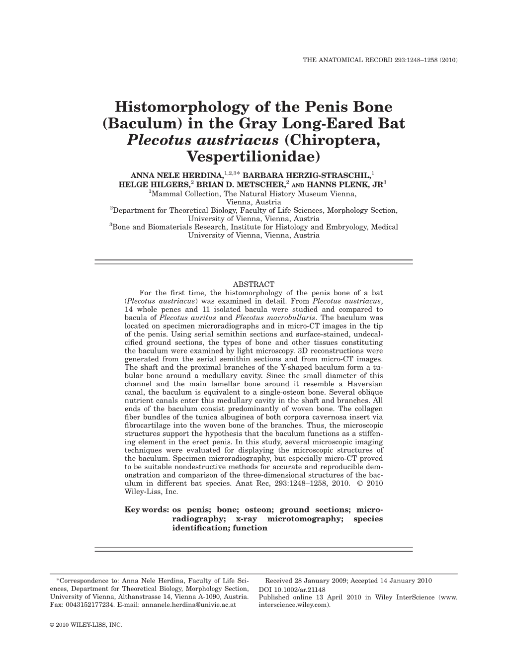 Histomorphology of the Penis Bone (Baculum) in the Gray Longeared Bat Plecotus Austriacus (Chiroptera, Vespertilionidae)