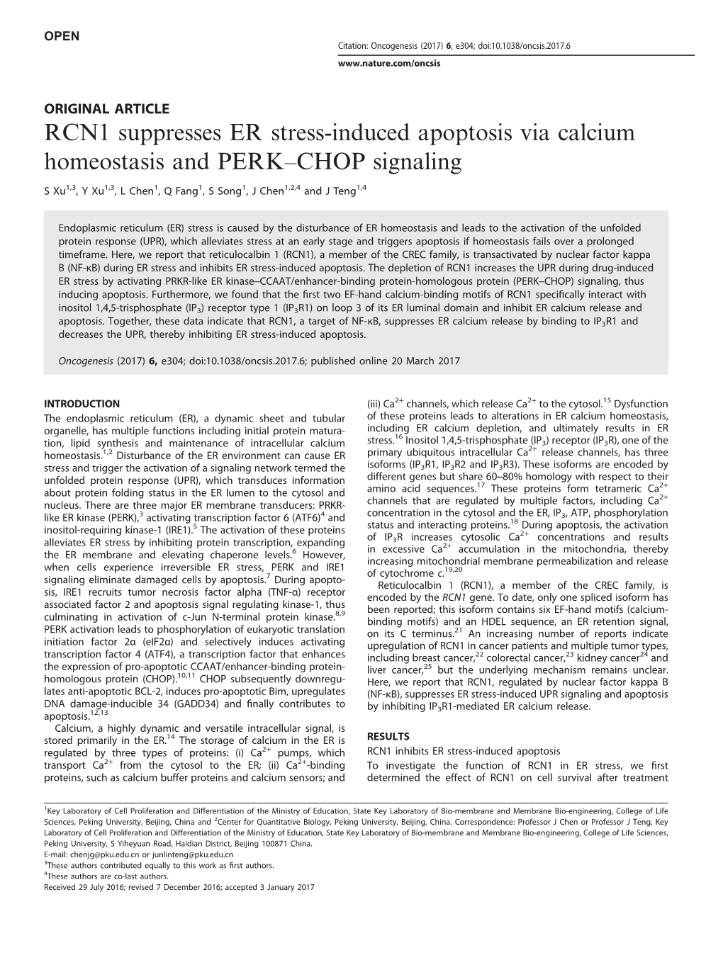 RCN1 Suppresses ER Stress-Induced Apoptosis Via Calcium Homeostasis and PERK–CHOP Signaling