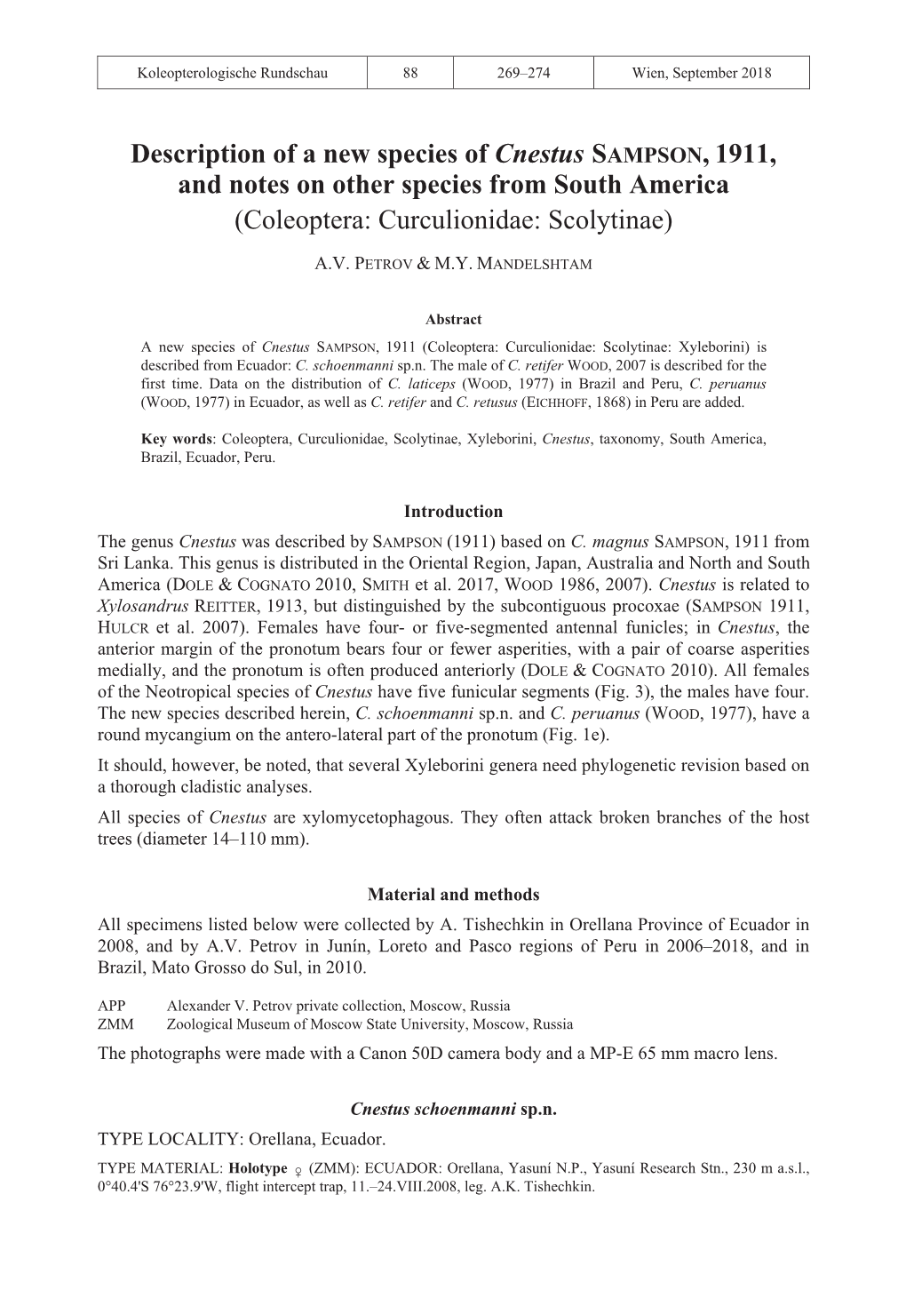 Description of a New Species of Cnestus SAMPSON, 1911, and Notes on Other Species from South America (Coleoptera: Curculionidae: Scolytinae)