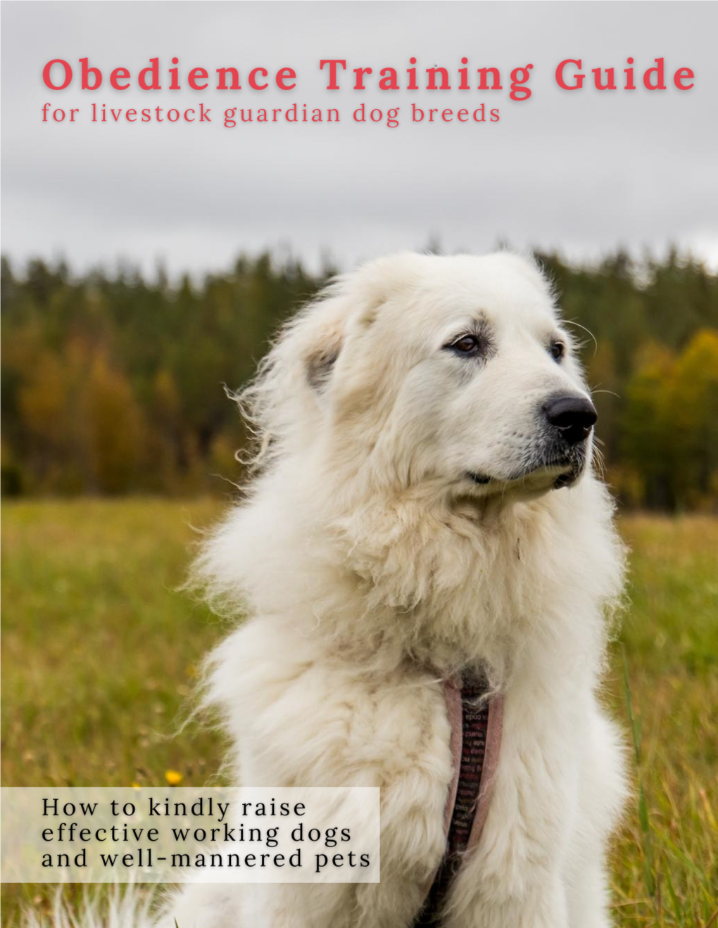 LGD Breed Training Guide.Pdf