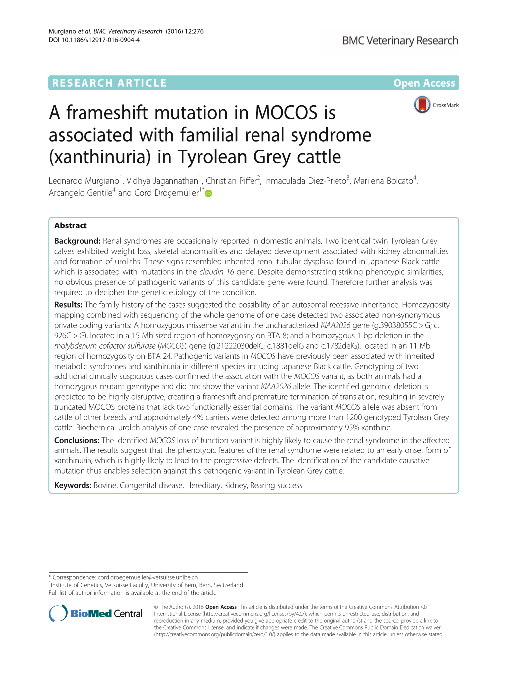 A Frameshift Mutation in MOCOS Is Associated with Familial Renal Syndrome (Xanthinuria) in Tyrolean Grey Cattle