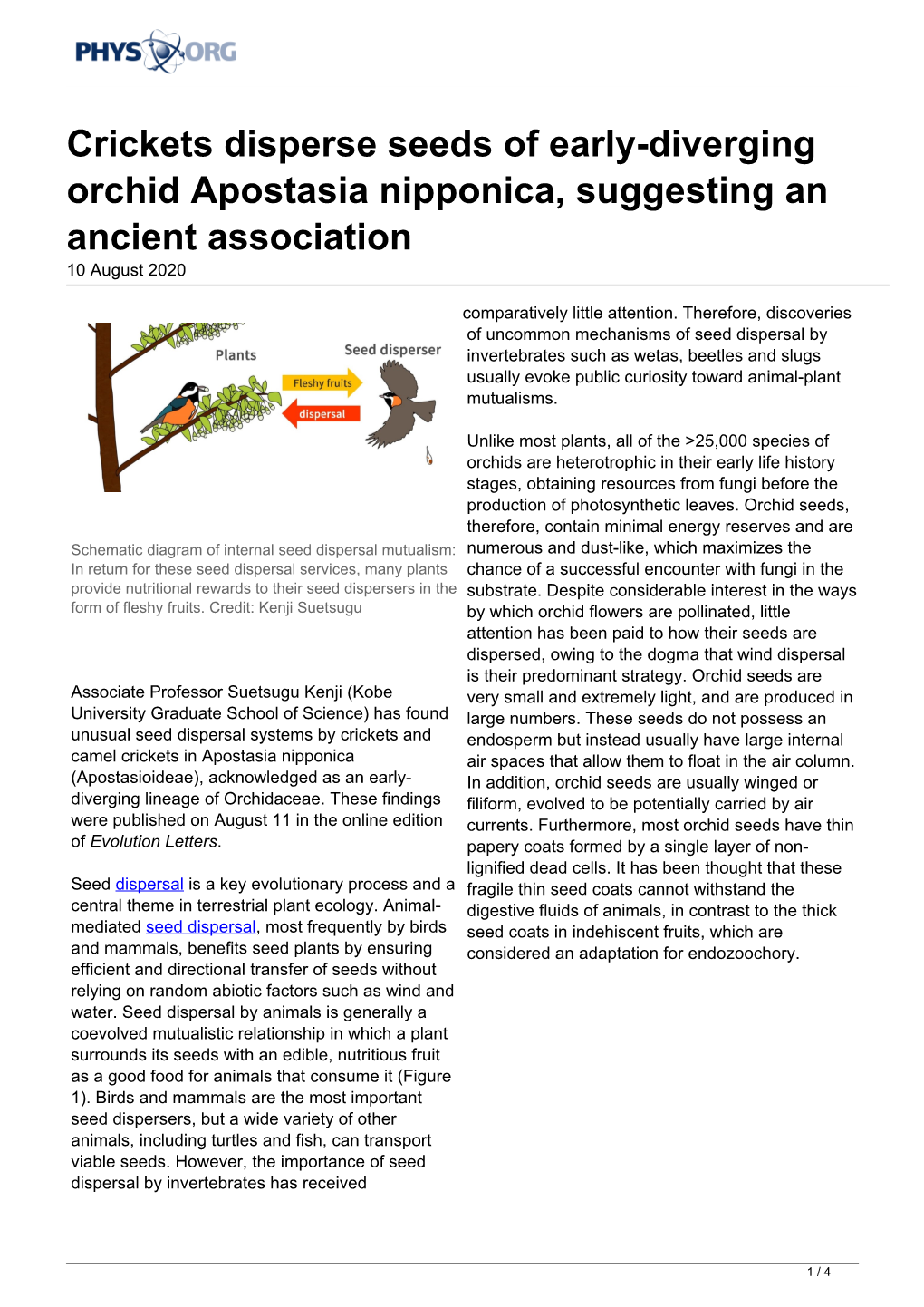 Crickets Disperse Seeds of Early-Diverging Orchid Apostasia Nipponica, Suggesting an Ancient Association 10 August 2020