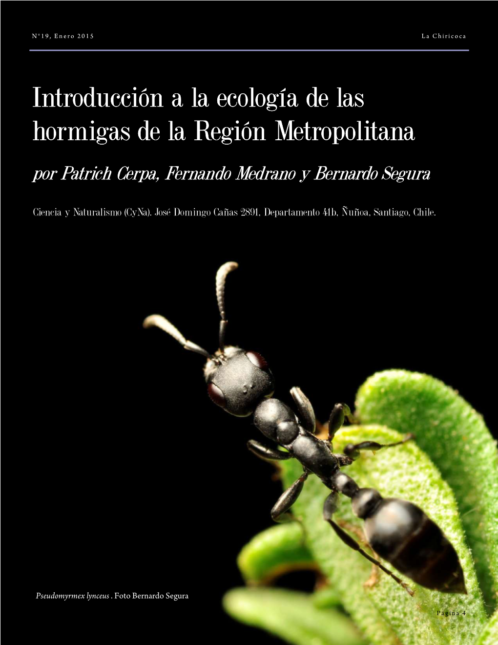 Introducción a La Ecología De Las Hormigas De La Región Metropolitana Por Patrich Cerpa, Fernando Medrano Y Bernardo Segura