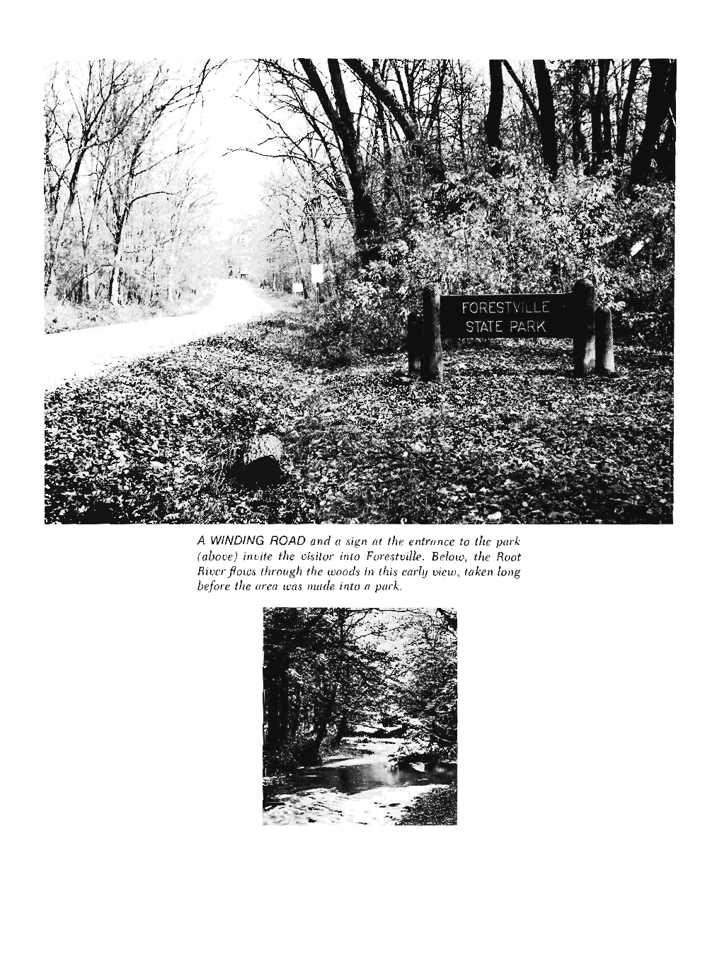 Forestville, the Making of a State Park / Roy W. Meyer