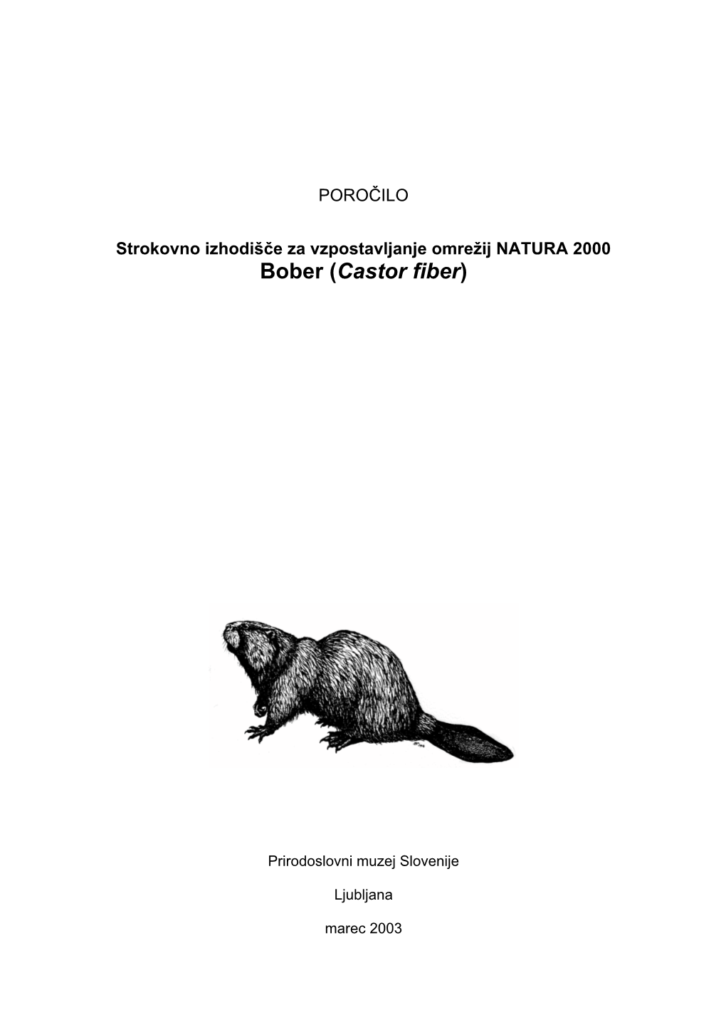 Bober (Castor Fiber)