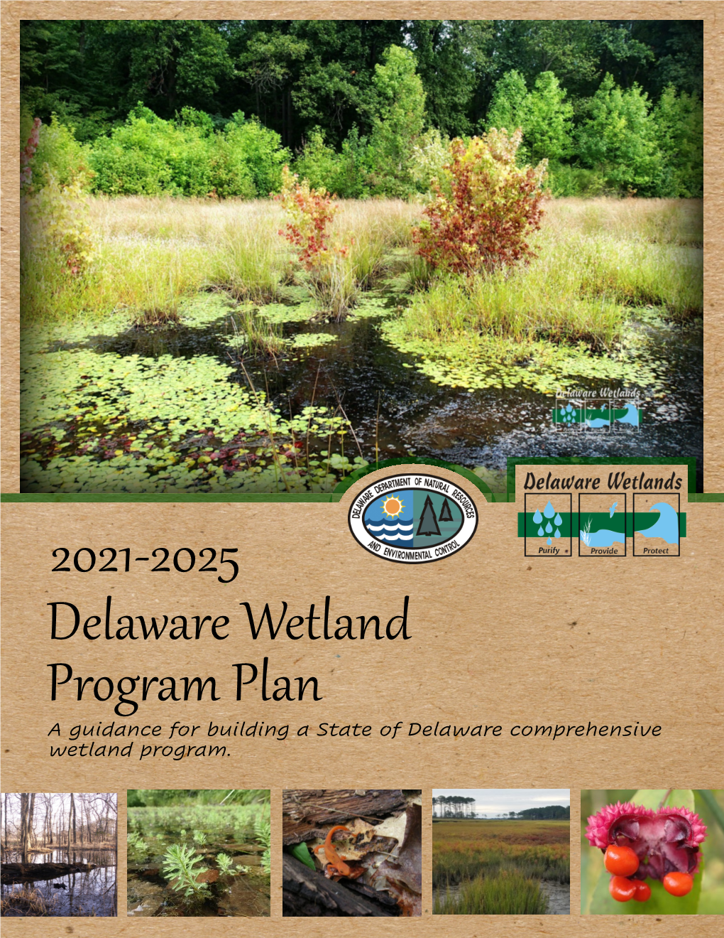 Delaware Wetland Program Plan 2021-2025