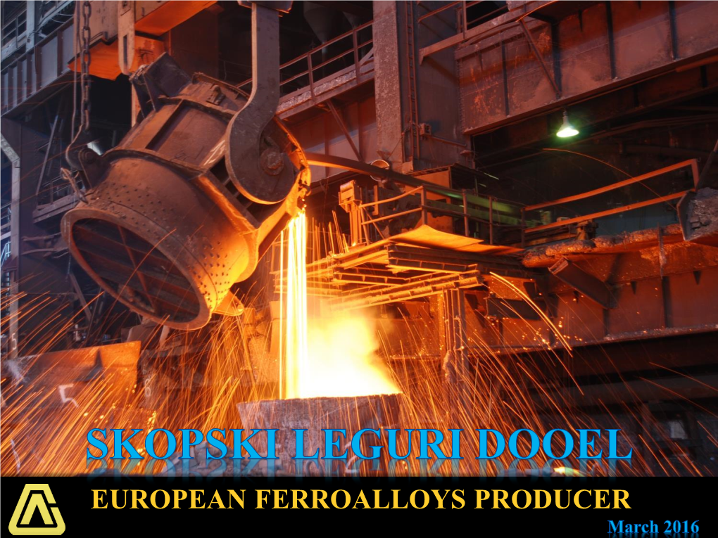 EUROPEAN FERROALLOYS PRODUCER Ma