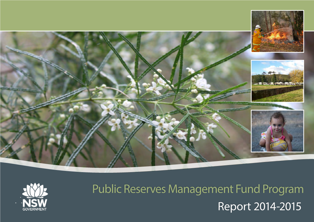 Public Reserves Management Fund Program