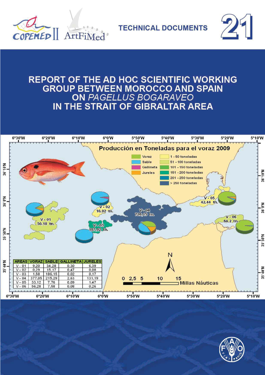 REPORT of the AD HOC SCIENTIFIC WORKING GROUP BETWEEN MOROCCO and SPAIN on Pagellus Bogaraveo in the STRAIT of GIBRALTAR AREA