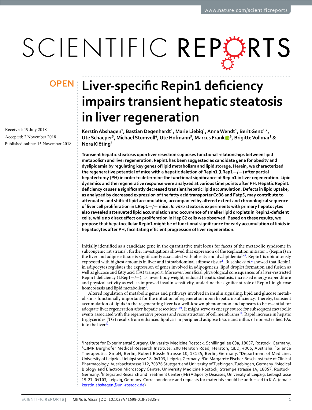 Liver-Specific Repin1 Deficiency Impairs Transient Hepatic Steatosis