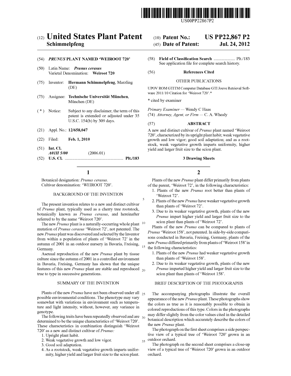 (12) United States Plant Patent (10) Patent N0.: US PP22,867 P2 Schimmelpfeng (45) Date of Patent: Jul