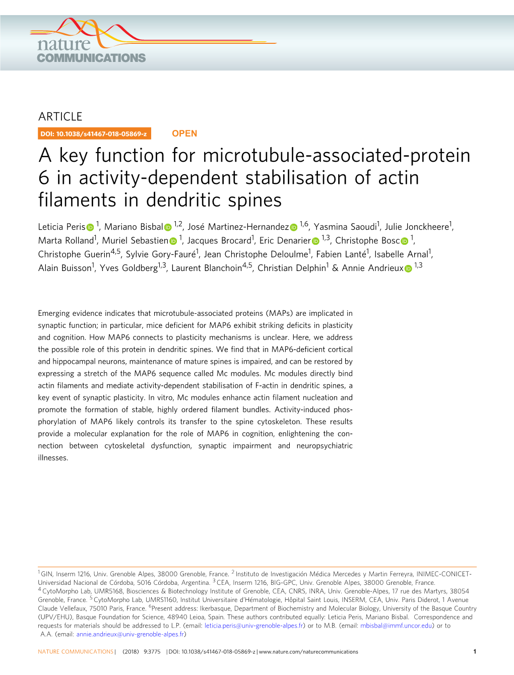 A Key Function for Microtubule-Associated-Protein 6 in Activity-Dependent Stabilisation of Actin ﬁlaments in Dendritic Spines