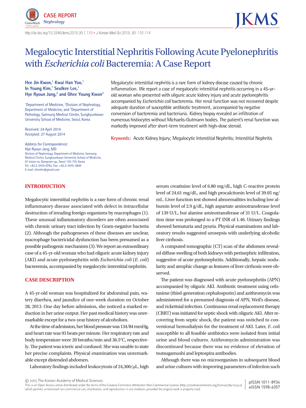 Megalocytic Interstitial Nephritis Following Acute Pyelonephritis with Escherichia Colibacteremia: a Case Report