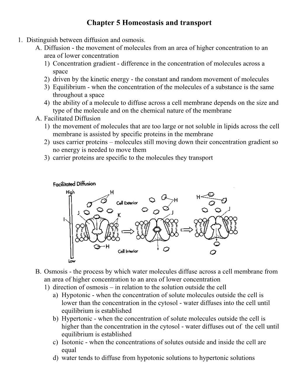 Chapter 5 Homeostasis and Transport