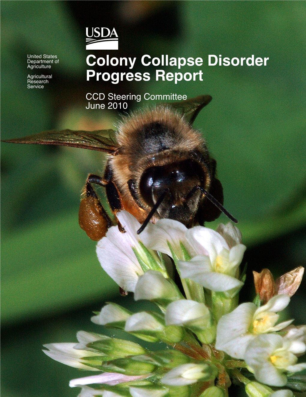 Colony Collapse Disorder Progress Report