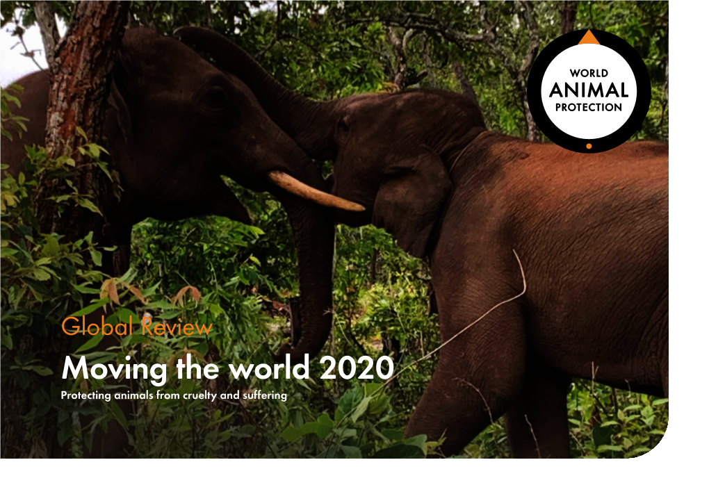 Moving the World 2020 Protecting Animals from Cruelty and Suffering Our Vision: a World Where Animals Live Free from Cruelty and Suffering