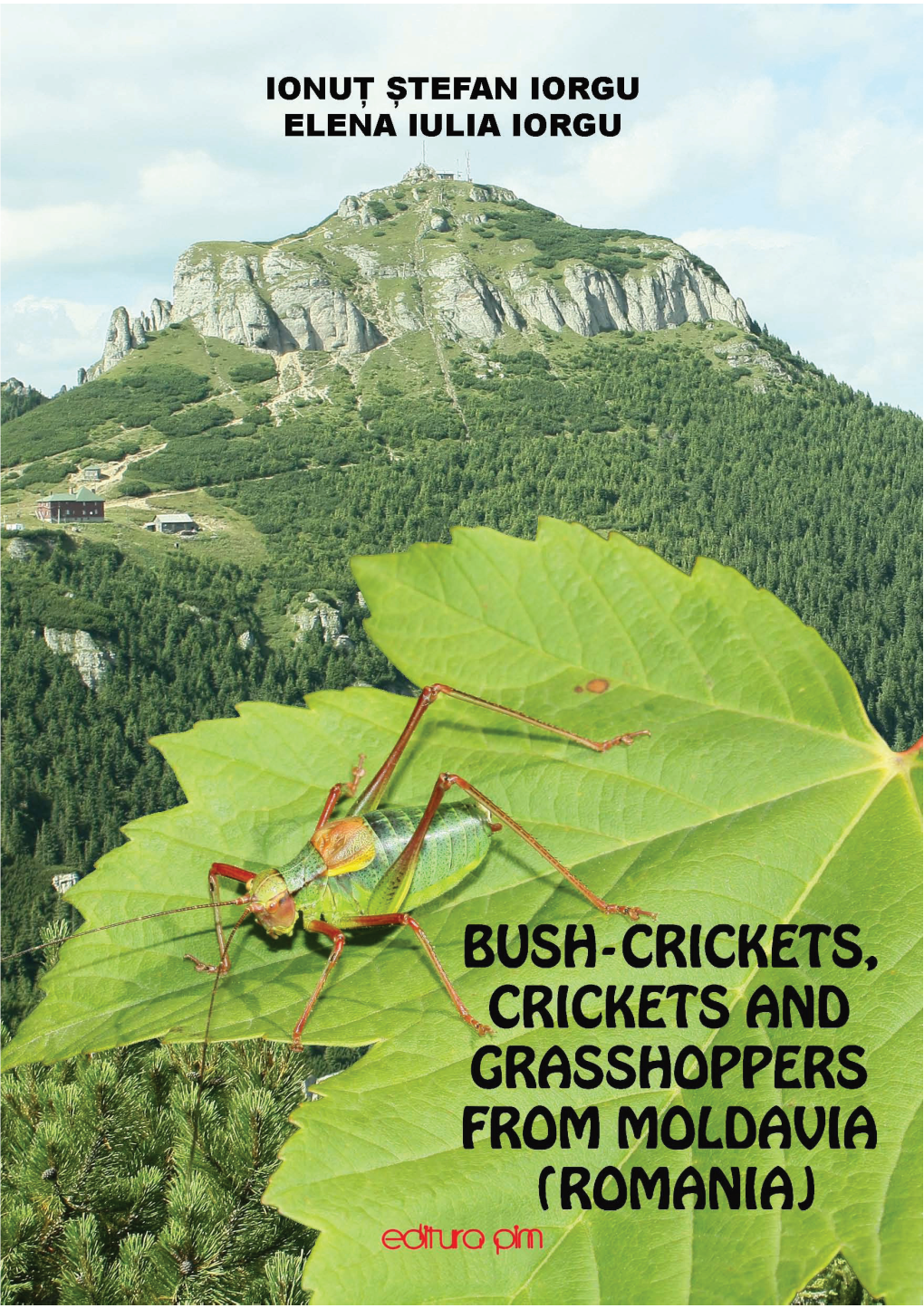 Bush Crickets, Crickets and Grasshoppers from Moldavia