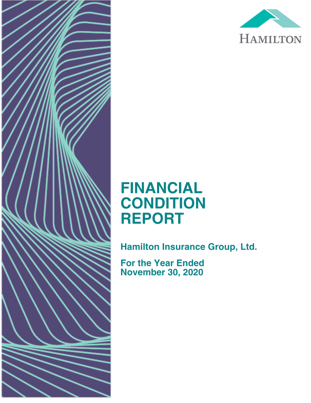 HIG Financial Condition Report 2020