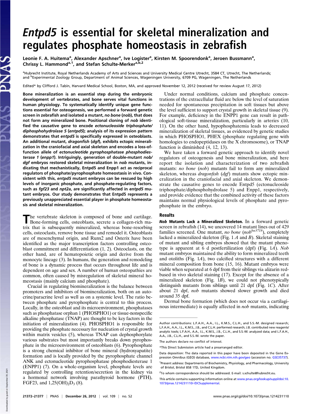 Entpd5 Is Essential for Skeletal Mineralization and Regulates Phosphate Homeostasis in Zebraﬁsh