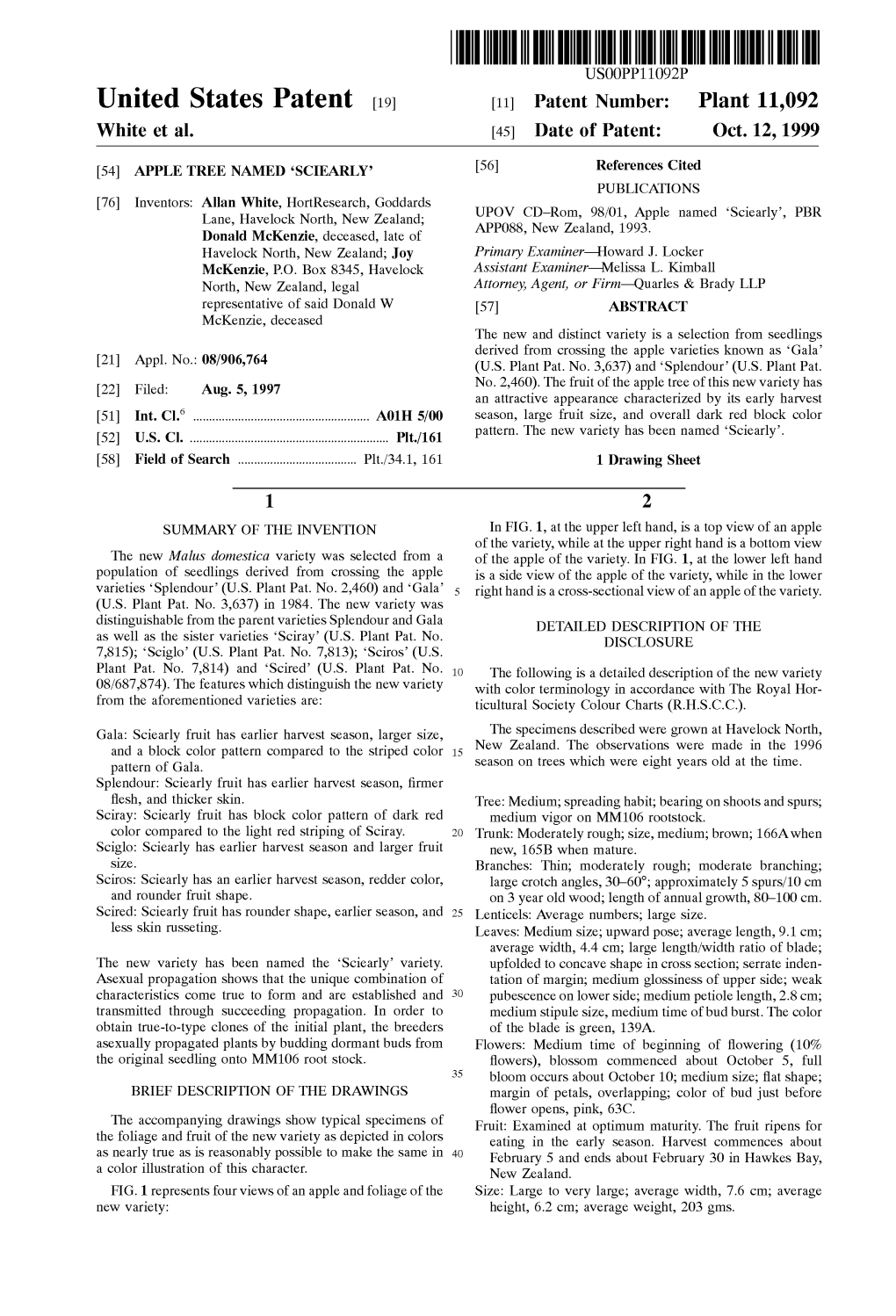Ulllted States Patent [19] [11] Patent Number: Plant 11,092 White Et Al