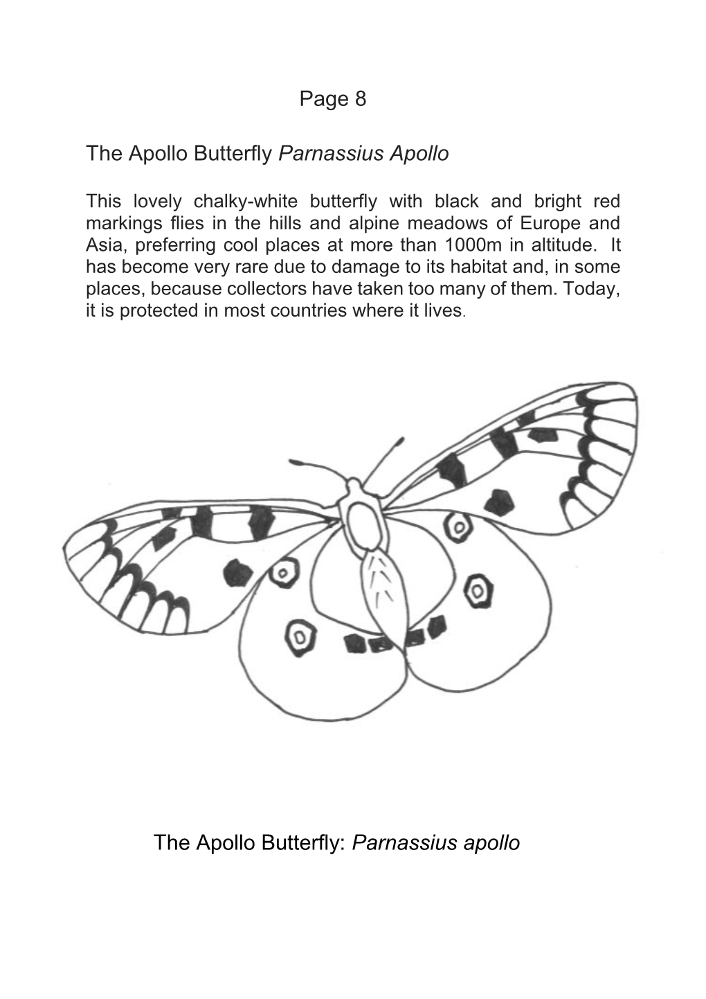 Parnassius Apollo