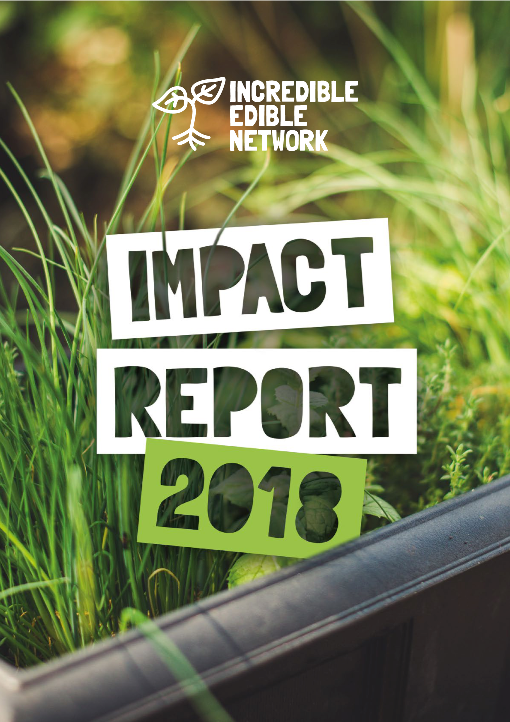 Impact Report 2018