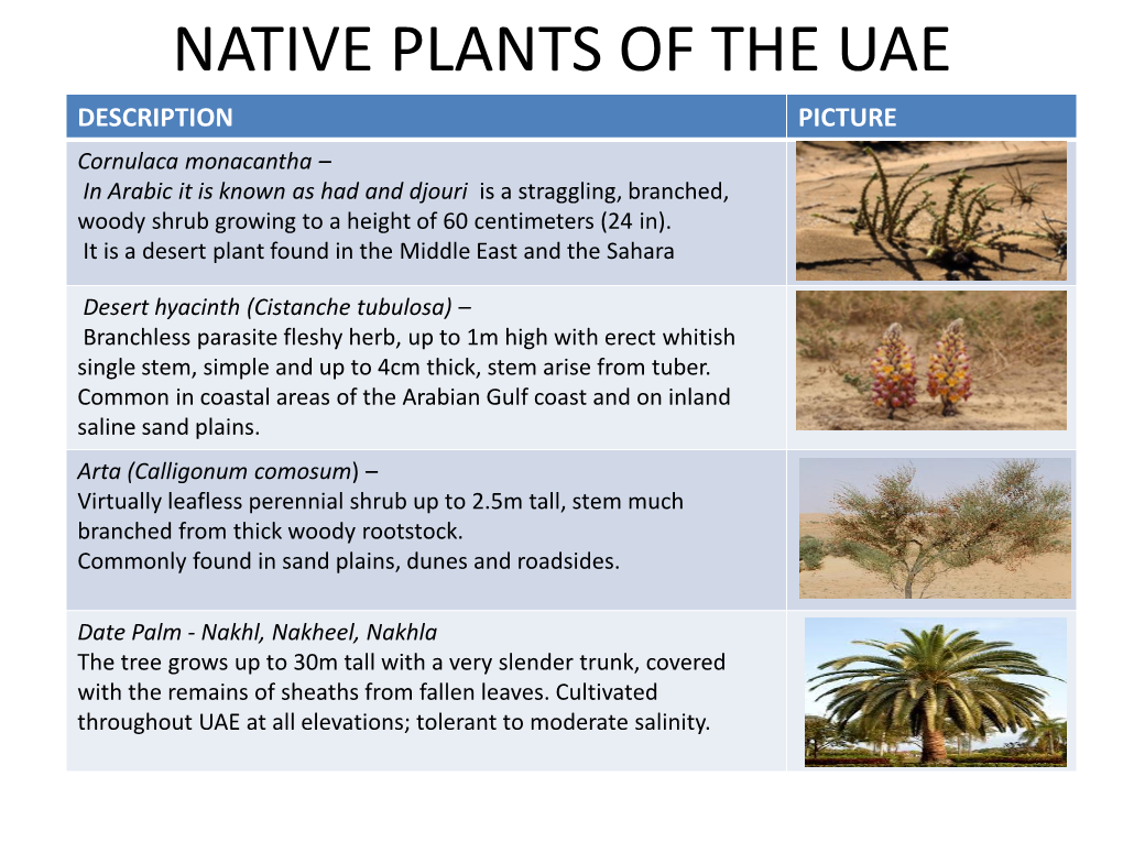 Native Plants of The