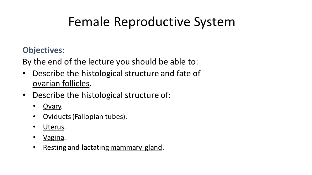 Female Reproductive System