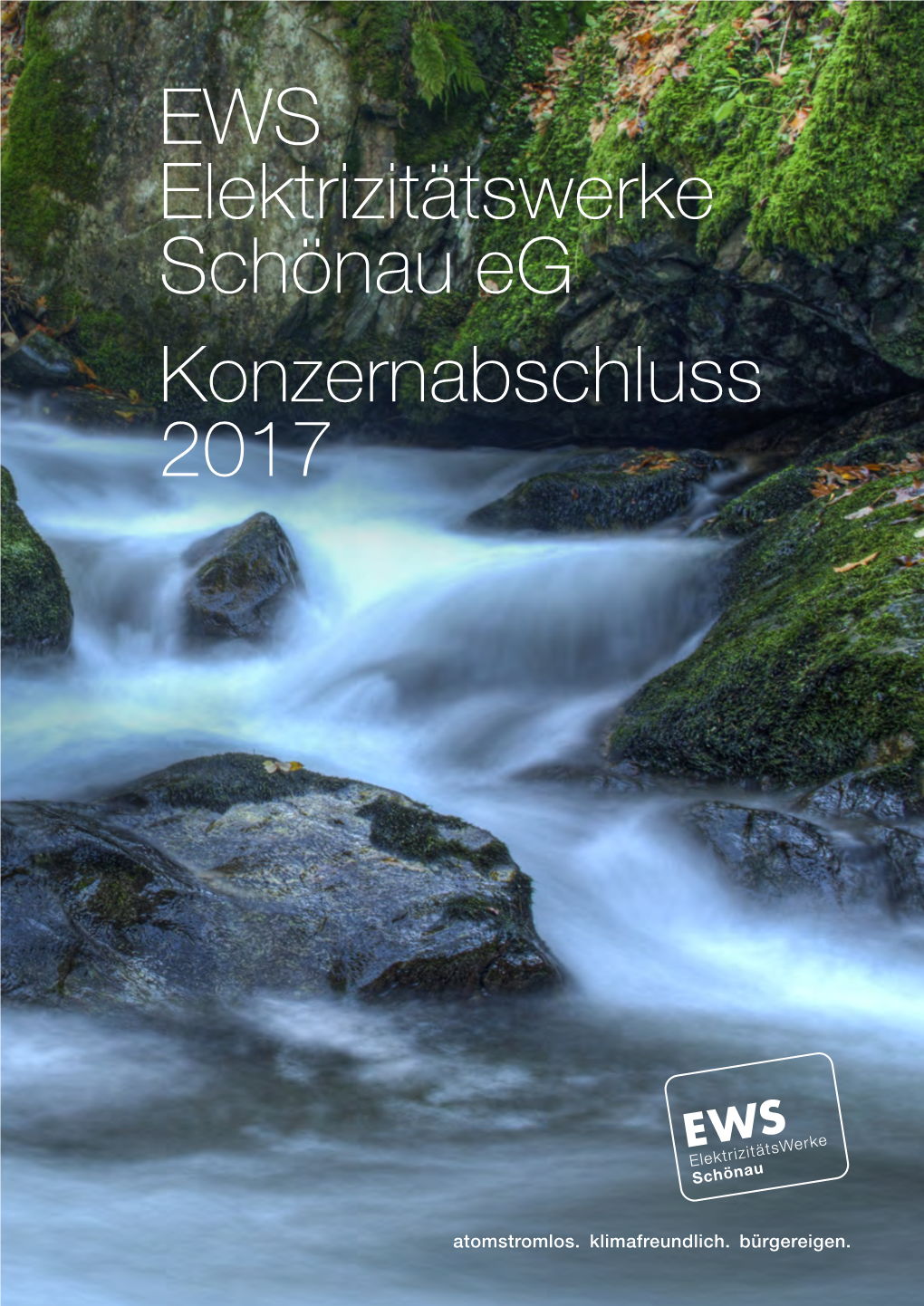 EWS Elektrizitätswerke Schönau Eg Konzernabschluss 2017