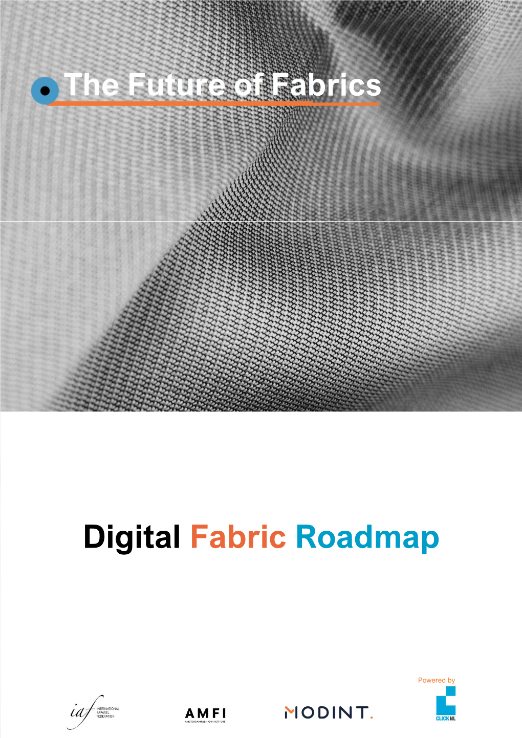 Digital Fabric Roadmap