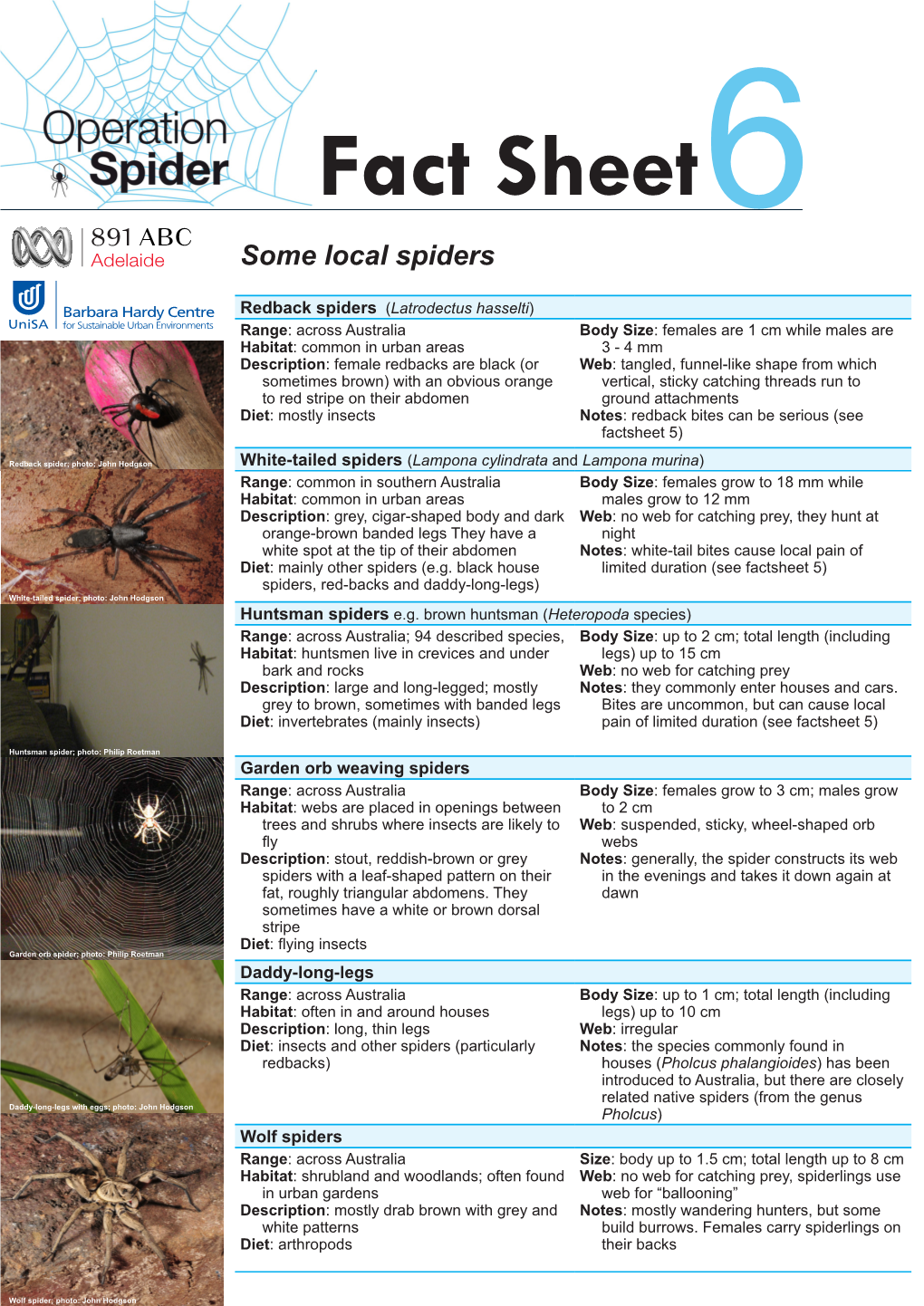 Some Local Australian Spiders • Fact Sheet