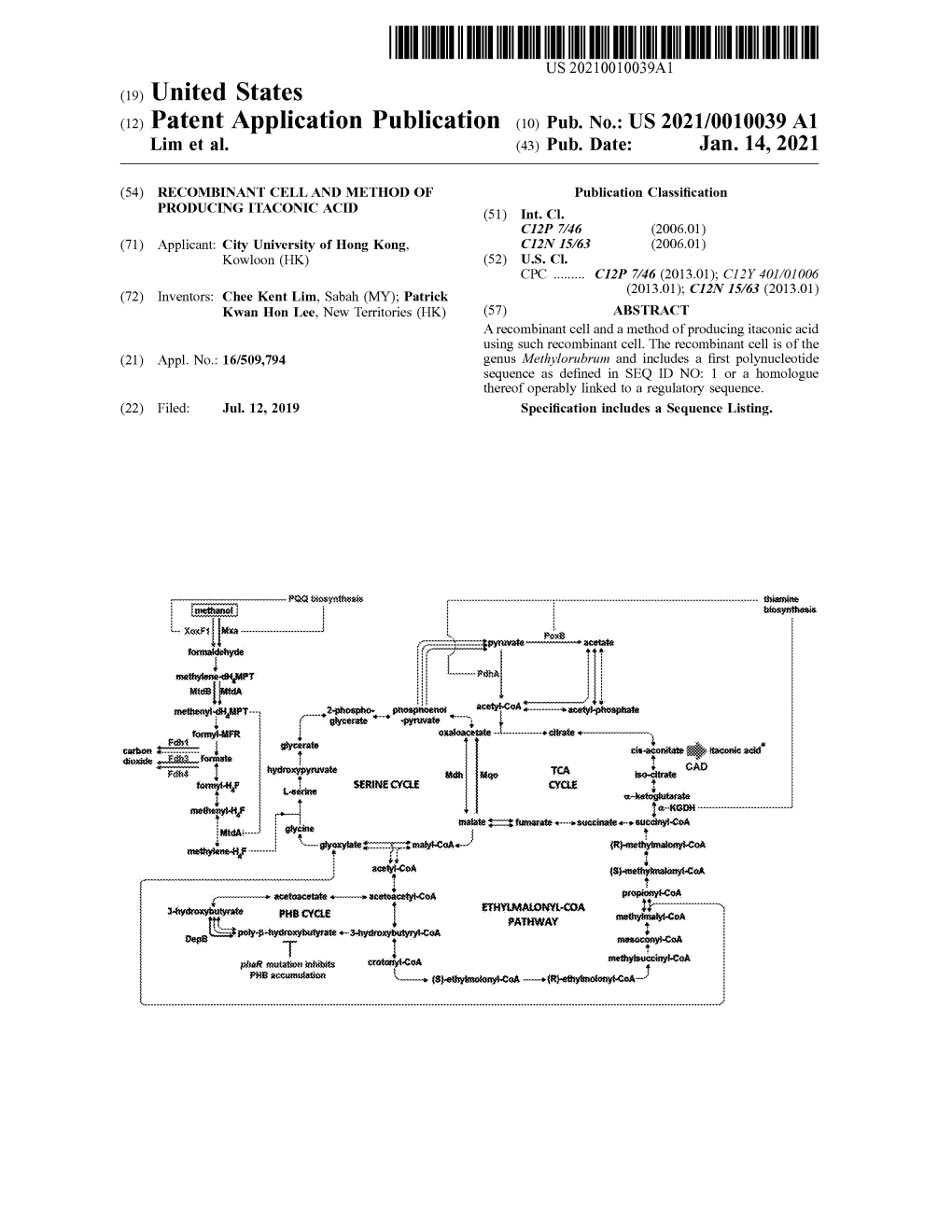 Pub . No .: US 2021/0010039 A1 Lim Et Al