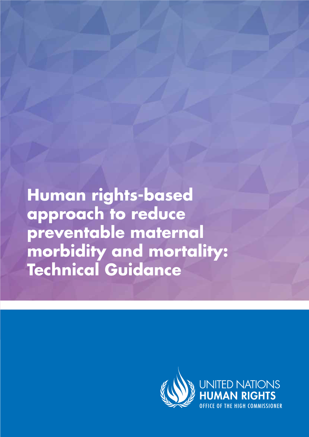 Human Rights-Based Approach to Reduce Preventable Maternal Morbidity and Mortality: Technical Guidance