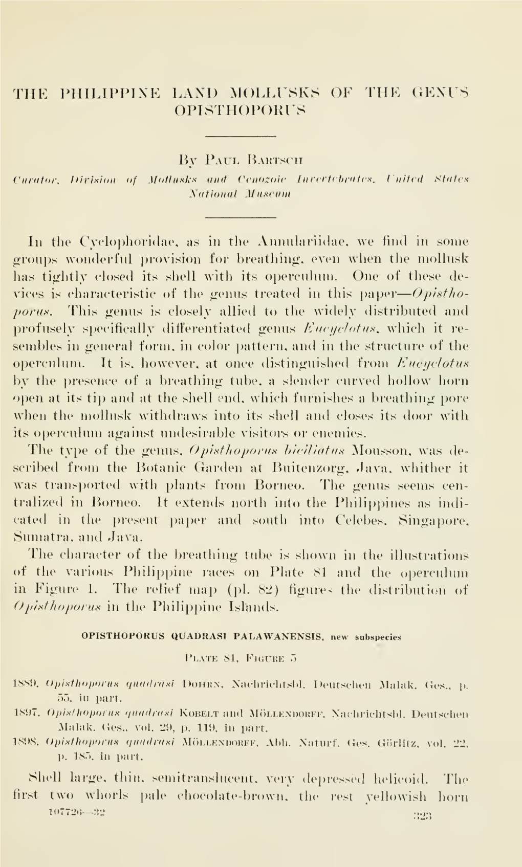 BULLETIN 10 0, UNITED STATES NATIONAL MUSEUM Colored, Marked by Numerous Axial Brown Fulgurations