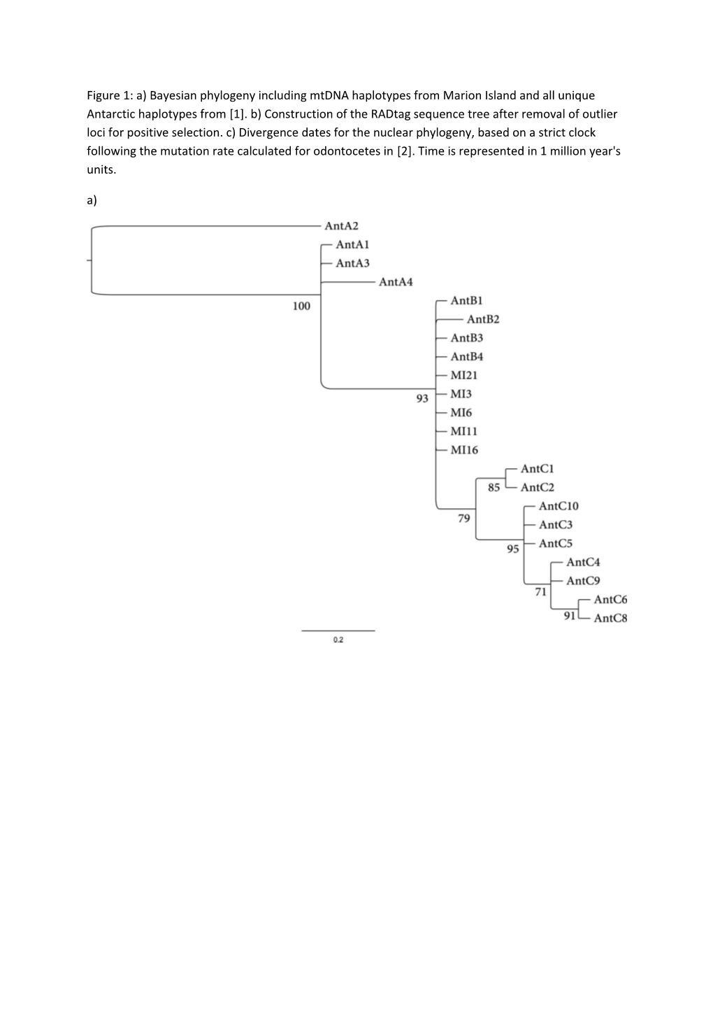 Figure 2: A) the Nuclear Phylogeny Based on the Full Dataset Partitioned for GC Content