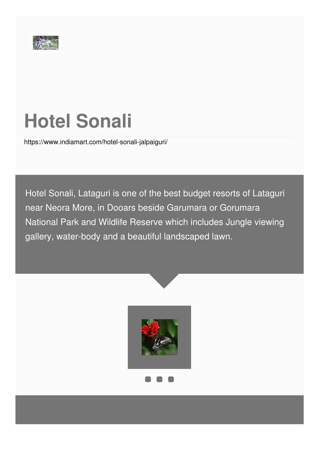 Hotel Sonali