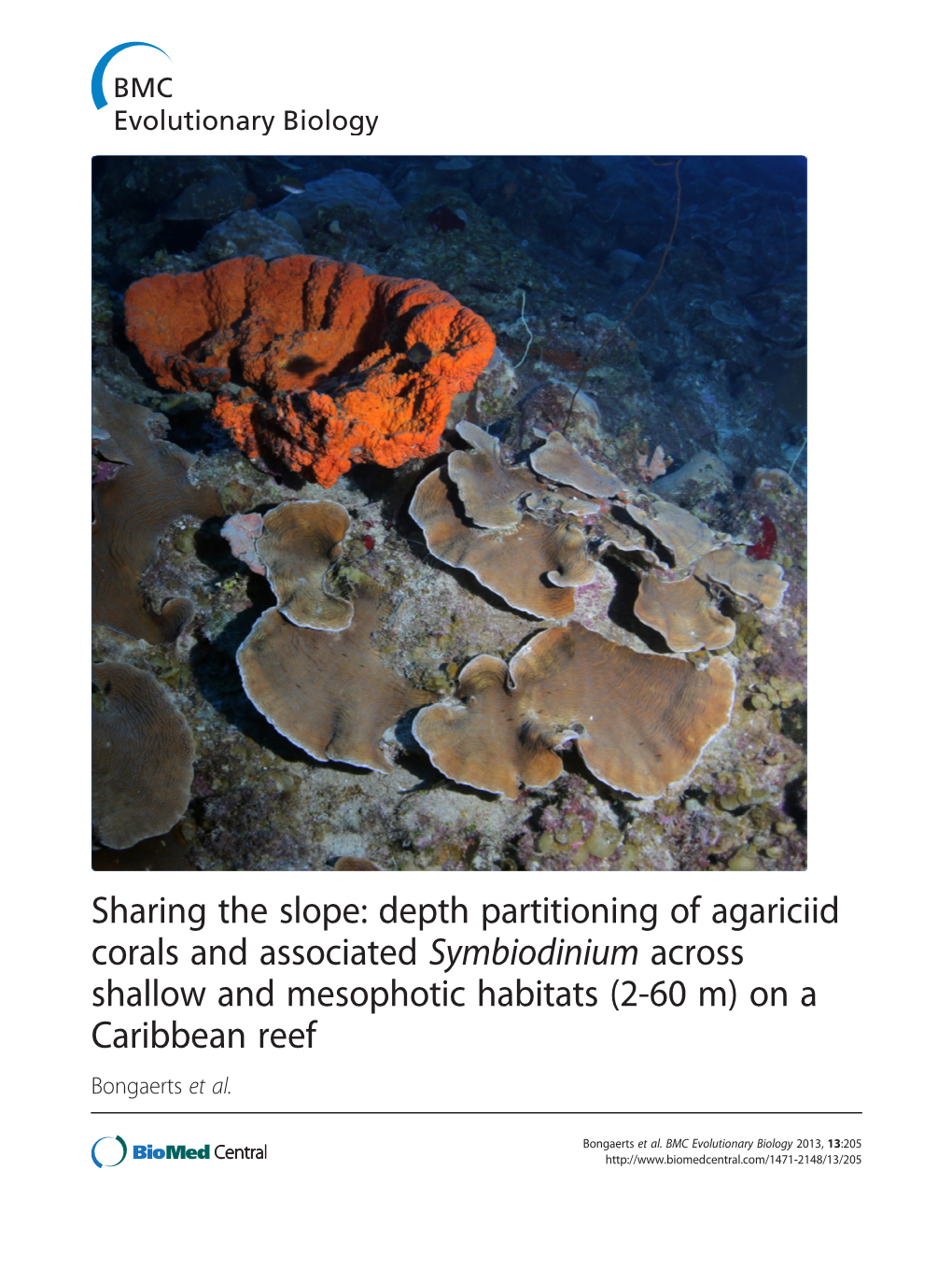 Depth Partitioning of Agariciid Corals and Associated Symbiodinium Across Shallow and Mesophotic Habitats (2-60 M) on a Caribbean Reef Bongaerts Et Al