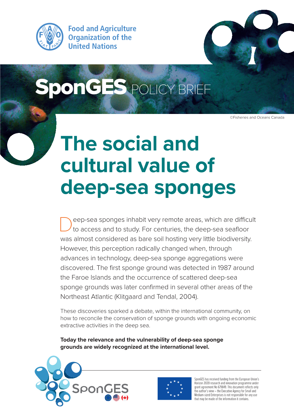 The Social and Cultural Value of Deep-Sea Sponges