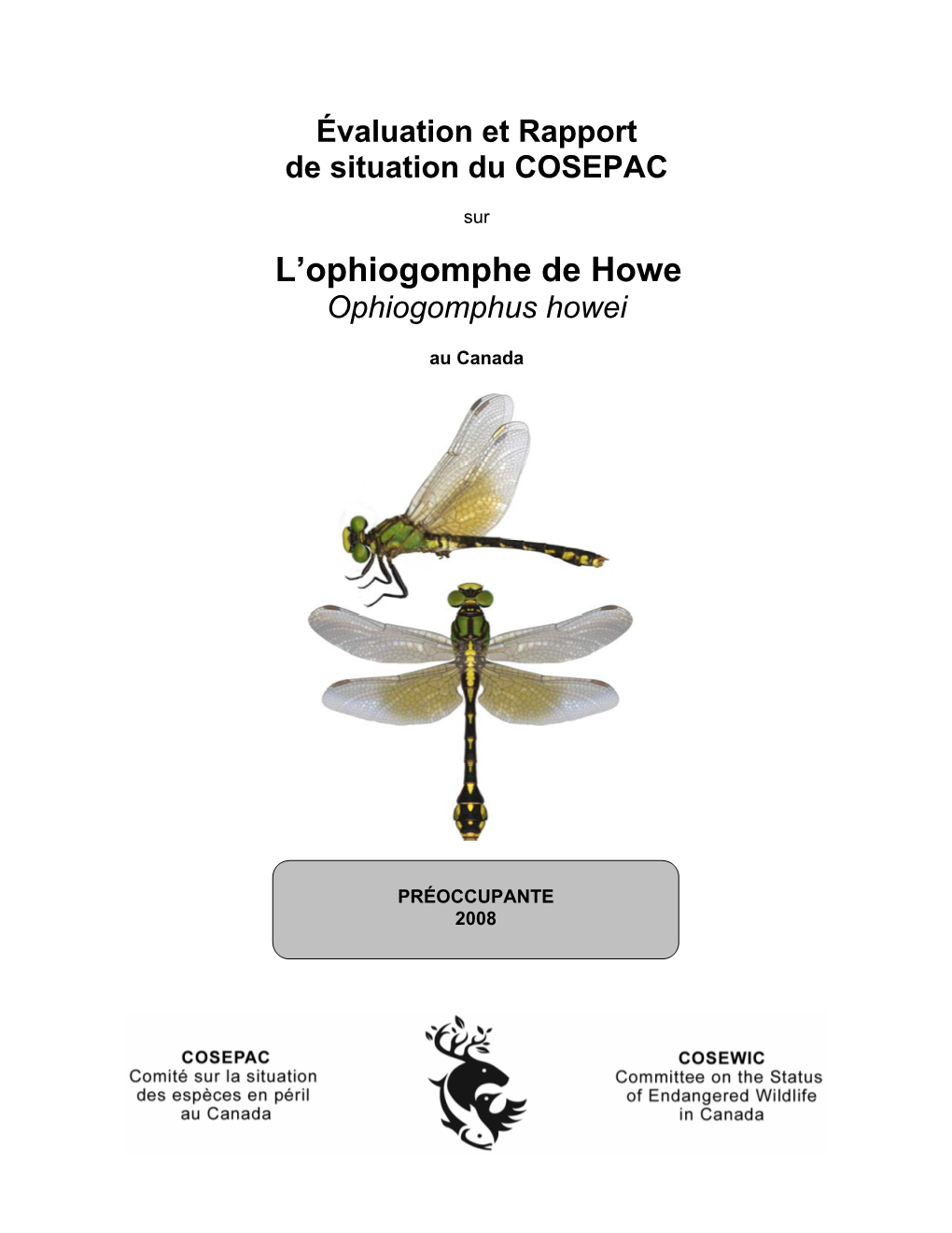 L'ophiogomphe De Howe(Ophiogomphus Howei)