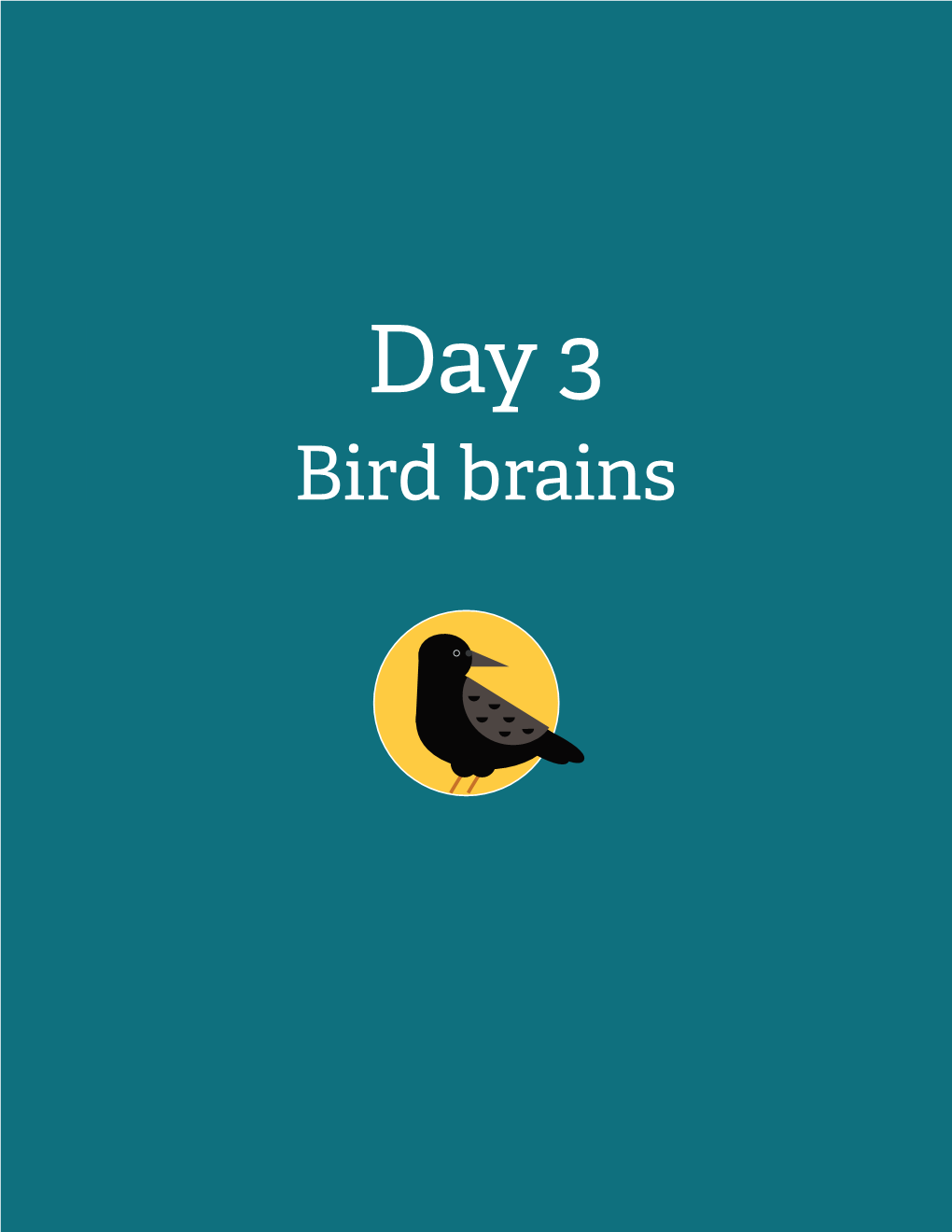 Day 3: Bird Brains