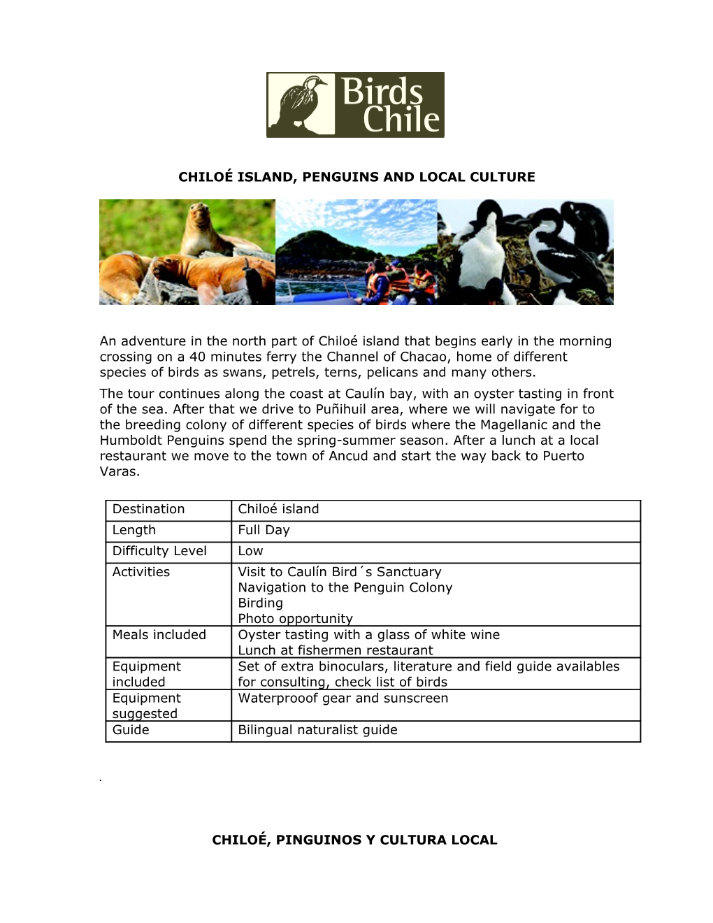 Chiloé Island, Penguins and Local Culture