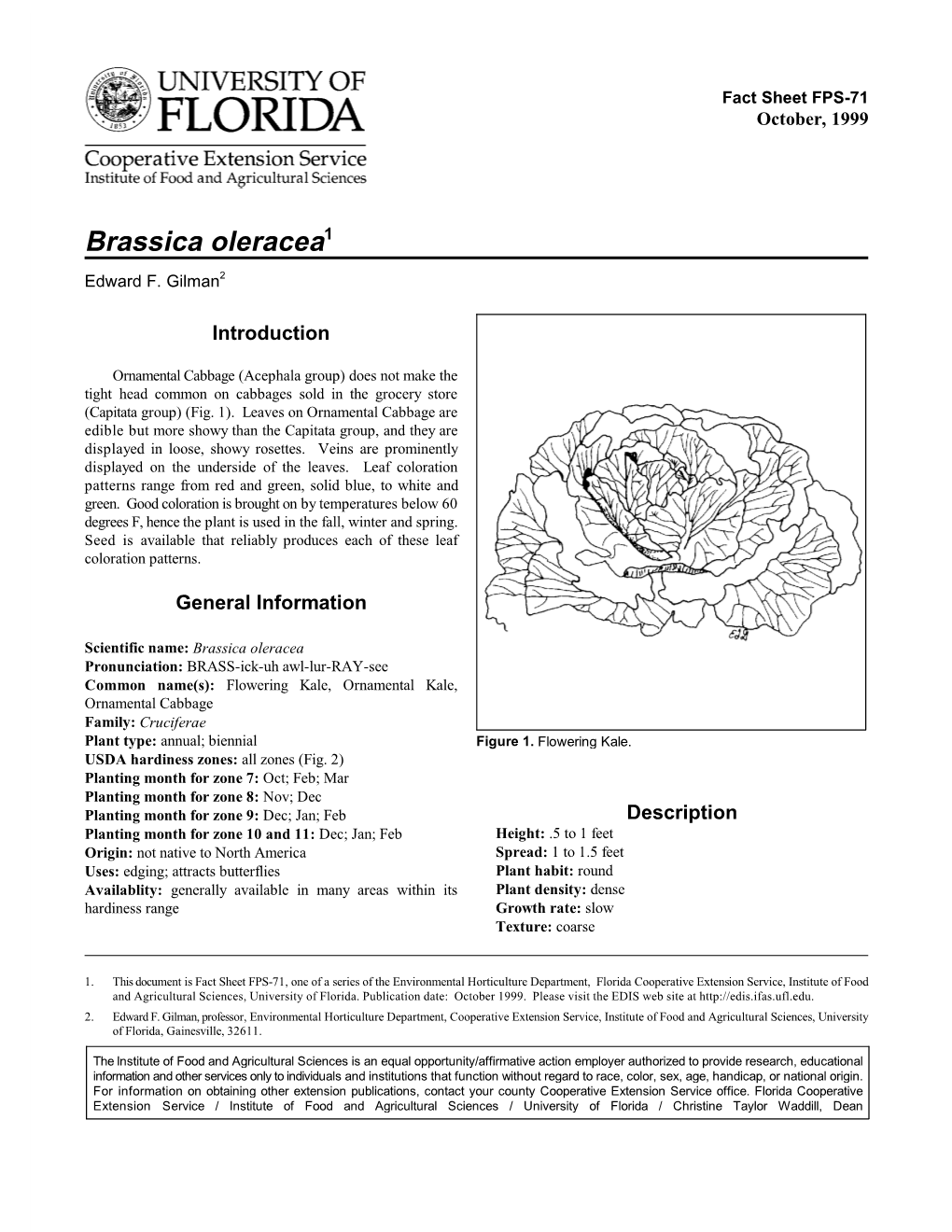 Brassica Oleracea1