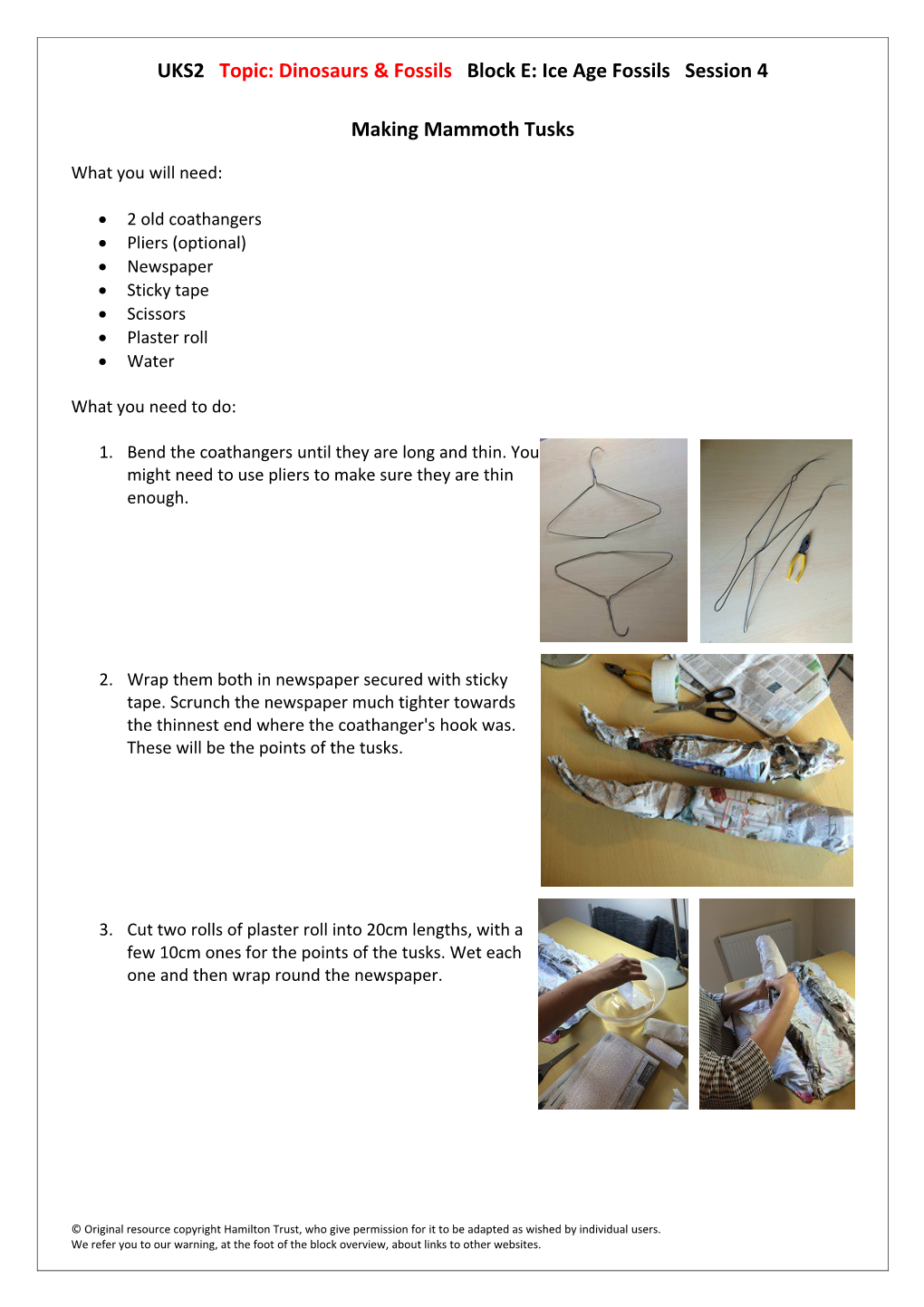 UKS2 Topic: Dinosaurs & Fossils Block E: Ice Age Fossils Session 4