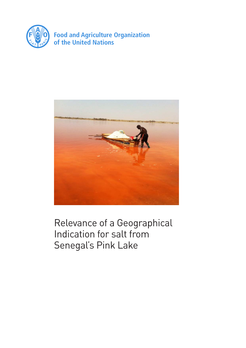 Relevance of a Geographical Indication for Salt from Senegal's